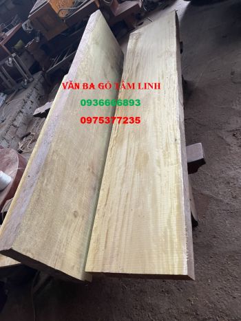 quan tài gỗ vàng tâm và cách nhận biết gỗ vàng tâm