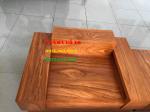 Sofa gỗ hiện đại _ SOGD214