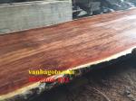 Phản gỗ| Phản gỗ Cẩm lai nam phi 1 tấm