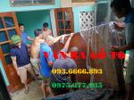 Chiếu Ngựa Gỗ Lim Nam Phi 2 tấm 1 chiếu