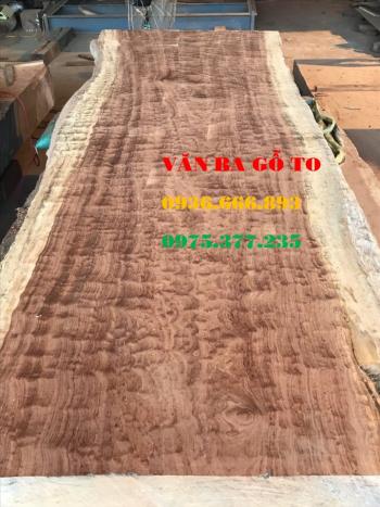 SẬP GỖ CẨM LAI NAM PHI 1 TẤM LỚN NGUYÊN KHỐI - SAGC100