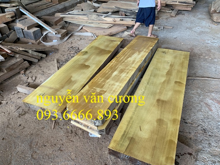quan tài gỗ vàng tâm