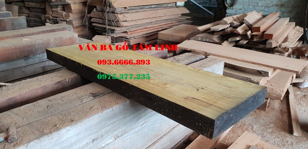 quan tài gỗ vàng tâm