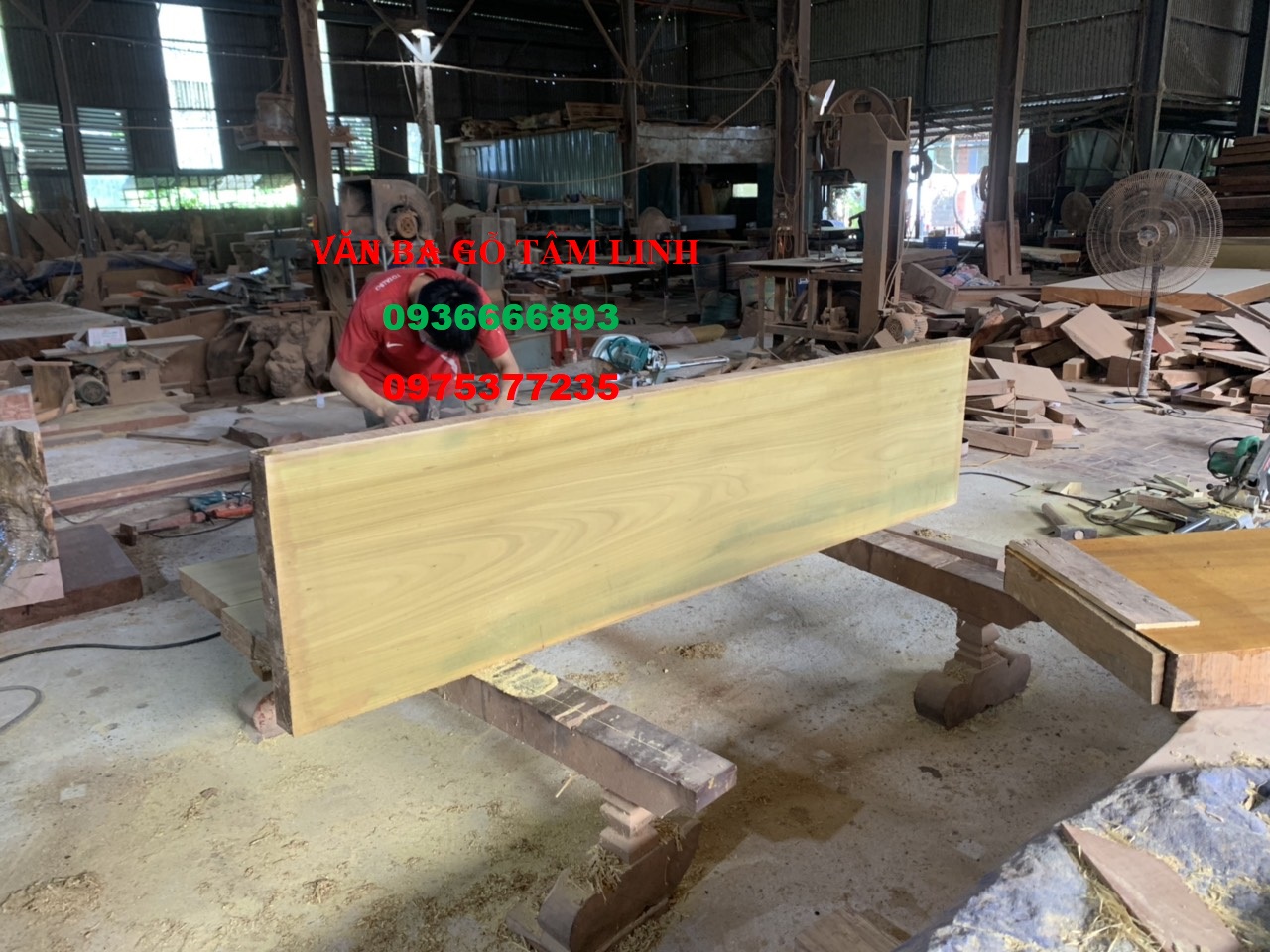 quan tài gỗ vàng tâm
