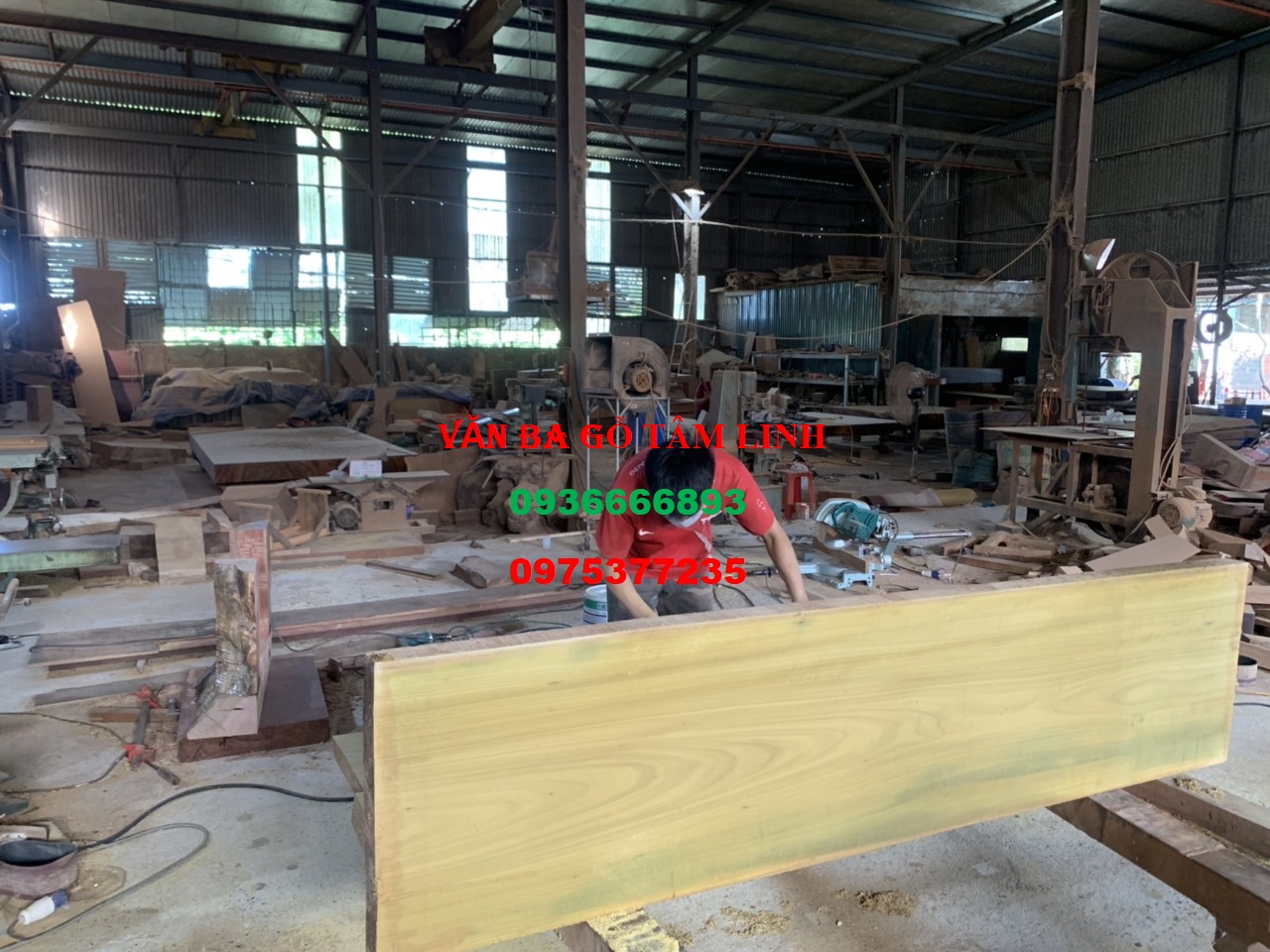 quan tài gỗ vàng tâm