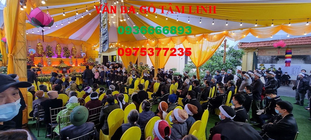 quan tài gỗ vàng tâm